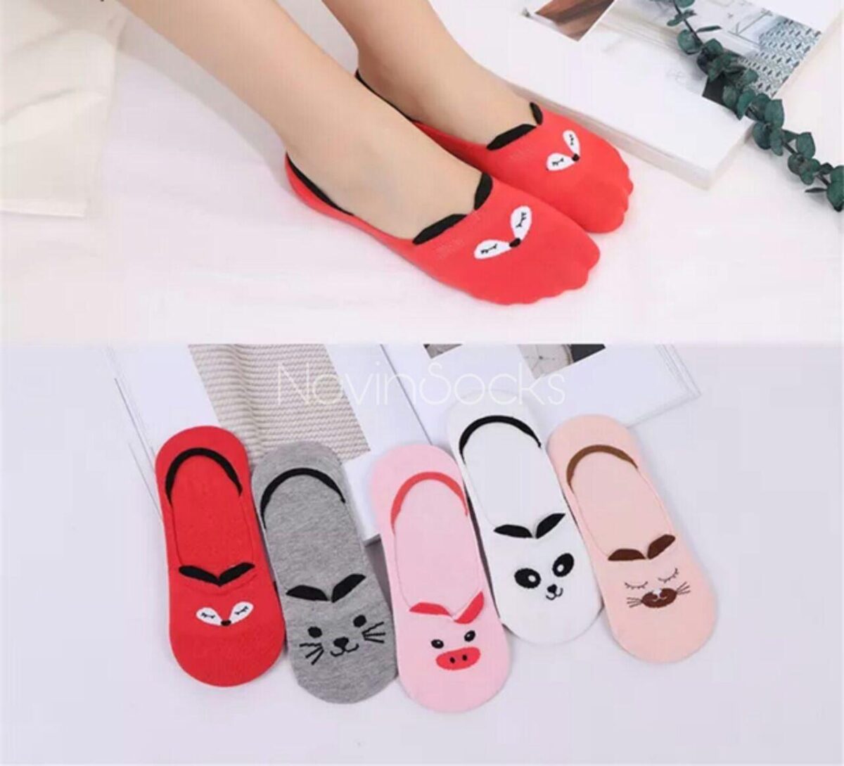 photo_2020-05-20_13-15-35 پک کالجی روباه قرمز - تصویر 1