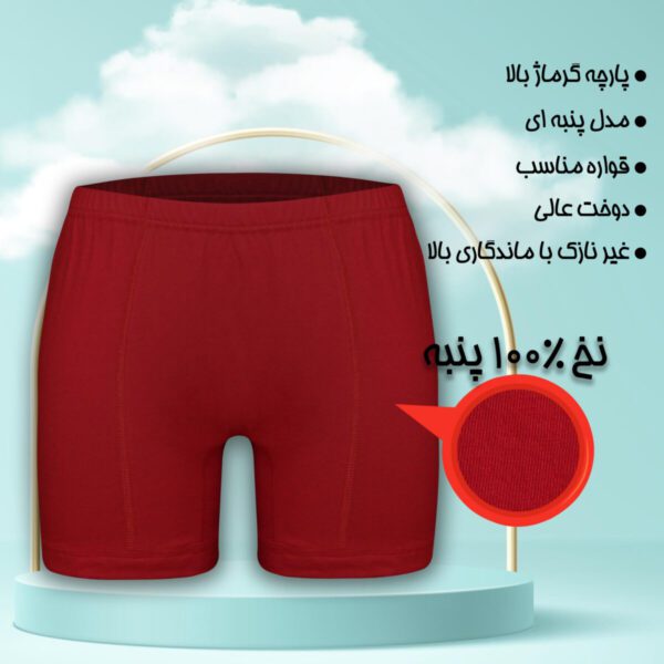 شورت مردانه پادار و اسلیپ 6 عددی (رنگ رندوم) - تصویر 4