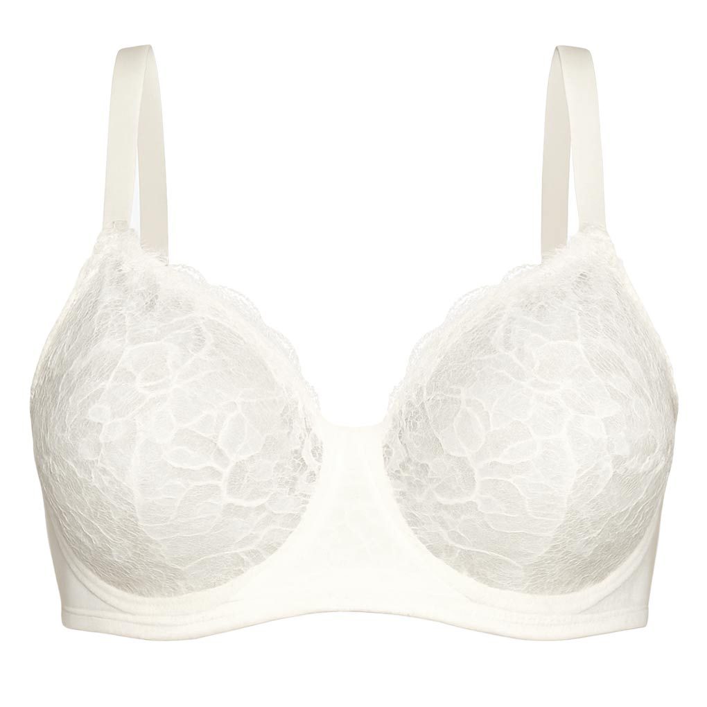 سوتین فنردار زنانه شاندرمن مدل 5080-2454-00GT سوتین فنردار زنانه شاندرمن مدل 5080-2454-00GT