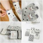 ساقدار گوش دار طوسی - تصویر 5