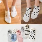 کالکشن مچی خرگوش و دوستاش