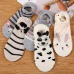 کالکشن مچی خرگوش و دوستاش - تصویر 5