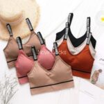 نیم تنه بند شاینی