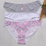 پک شورت خرگوشی - 2 ( دارای دو عدد طرح یکسان)