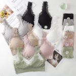 ست بابونه کد 1447 - تصویر 2