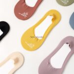 کالج طرح کاملیا - تصویر 2