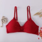 سوتین فانتزی طرح قاصدک - تصویر 14