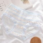 شورت طرح خرگوش آبی (سایز ۳۸ الی ۴۲) - تصویر 5