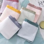 شورت کبریتی کش رنگی (سایز L - مناسب سایز 36 الی 40) - تصویر 4