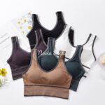 نیم تنه شاینی