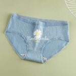 شورت بابونه (سایز 38 الی 42) XL - تصویر 4