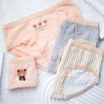 شورت خرس کرواتی 1259(38تا42)