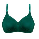 سوتین پانیذ بدون فنر کد 1066368