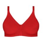 سوتین پانیذ بدون فنر کد 1066368