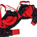 ست شورت و سوتین فنردار گیپور گلدار کد 109007 - تصویر 6