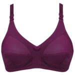 سوتین زنانه بدون فنر و بدون اسفنج کد 103305