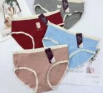 شورت کبریتی رنگی خرسی کد 1681 - تصویر 3