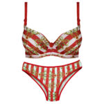 ست شورت وسوتین پوش آپ فنر دار کد 104378 - تصویر 2