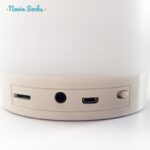 اسپیکر بلوتوثی قابل حمل مدل CL-671 کد 5572