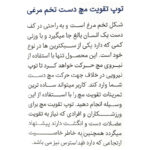 توپ تقویت مچ پاک سمن مدل تخم مرغی - تصویر 6